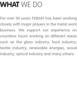 WHAT WE DO For over 50 years FEBAFI has been working closely with major players in the metal work business. We support our experience on countless hours working on different areas such as the glass industry, food industry, textile industry, renewable energies, wood industry, optical industry and many others.
